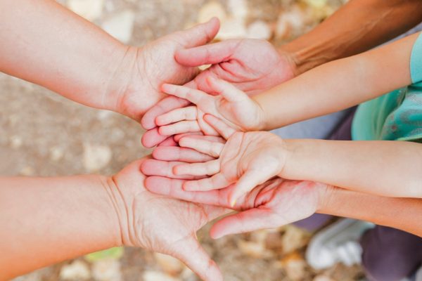 crest_268915-P560DN-756